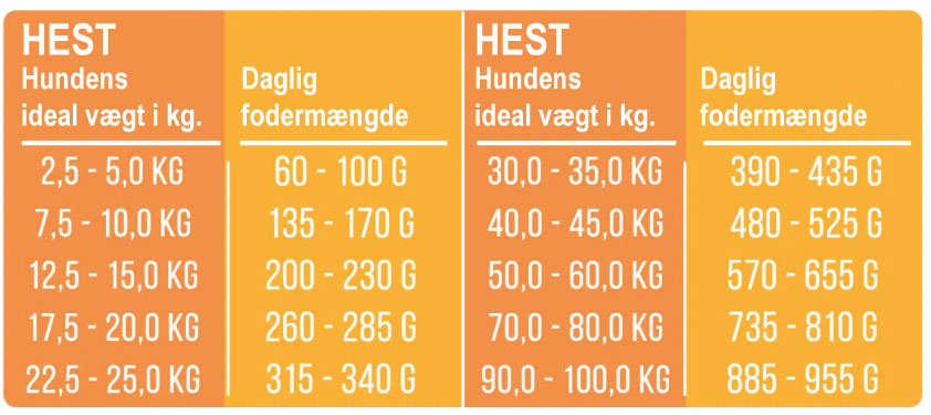 Tales & Tails - Semi Moist Hundefoder Hest