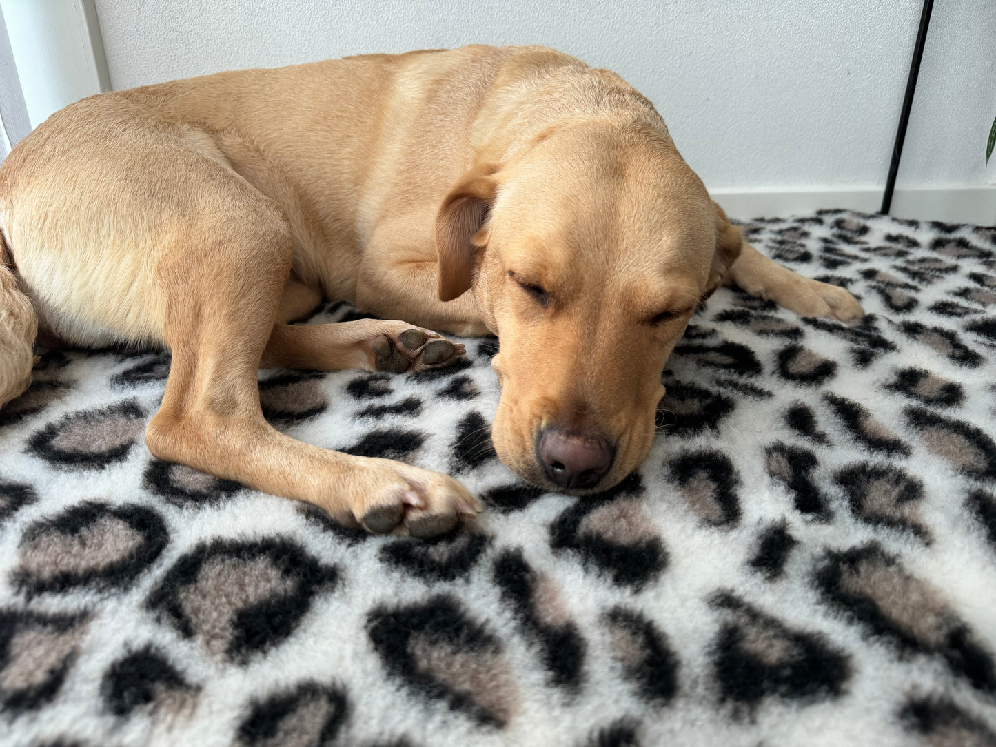 Vet Bed tæpper Leopard