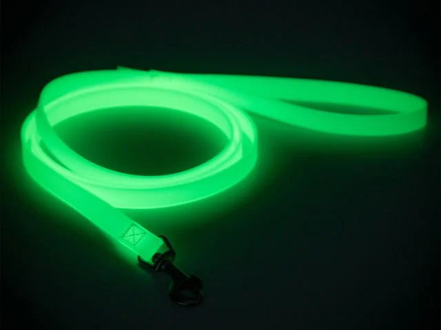 Paikka Glow Leash Selvlysende