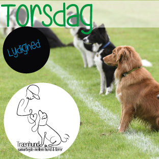 Torsdag Lydighed Feb-Juni